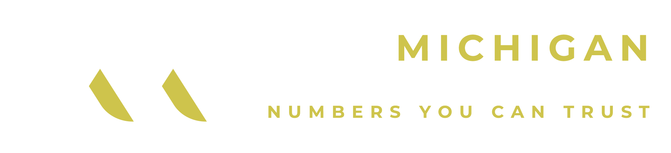 Lake Michigan Partners